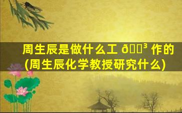 周生辰是做什么工 🌳 作的(周生辰化学教授研究什么)